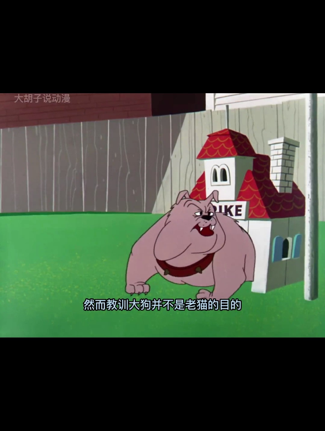 老猫为了吃掉扁嘴鸭大肆发明工具