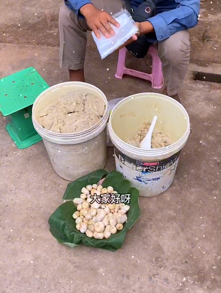 芒果鸡丝菠萝,高须鱼柠檬百香果,虾球混合水果冰饮