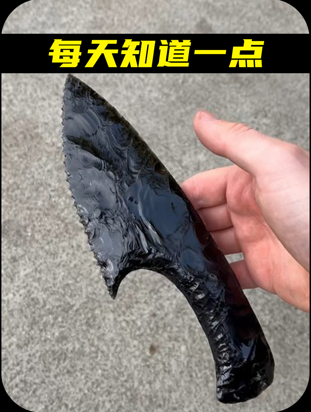 你见过最大的鲶鱼有多大