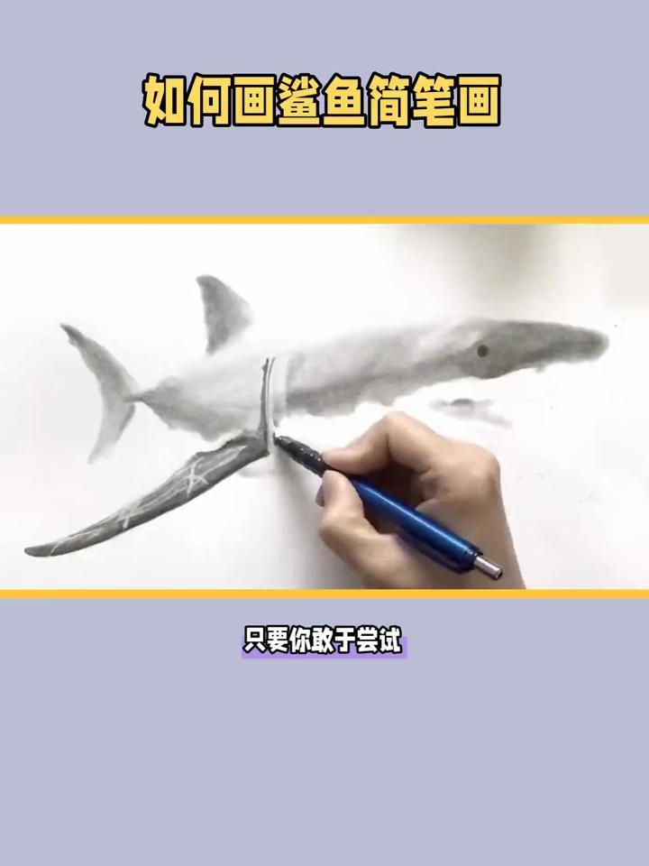 如何画鲨鱼简笔画