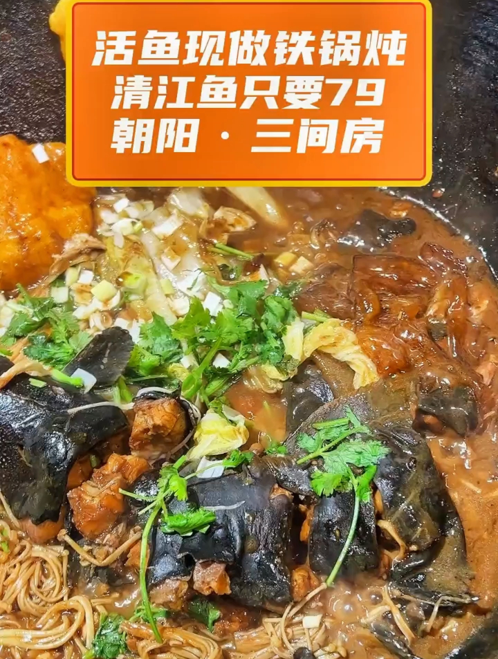 活鱼现做铁锅炖!