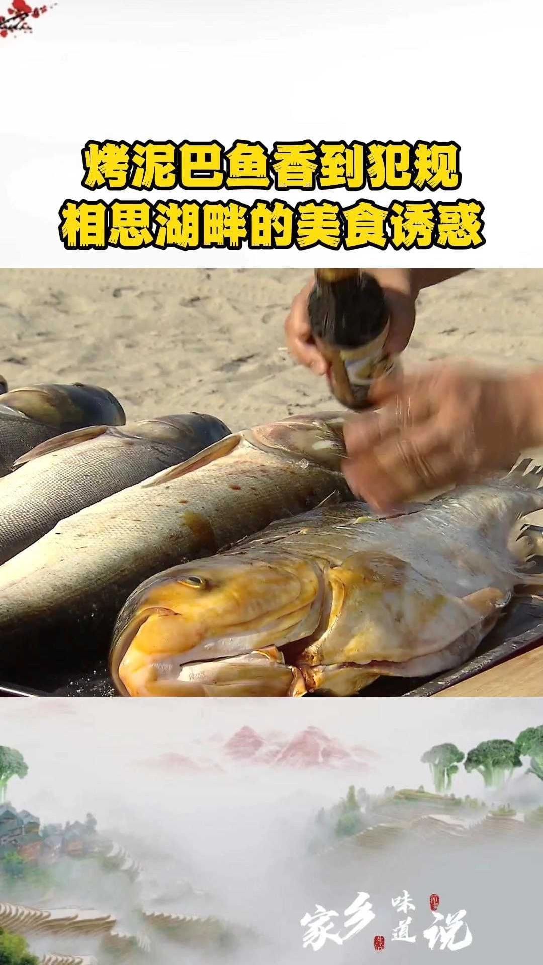 烤泥巴鱼香到犯规,相思湖畔的美食诱惑