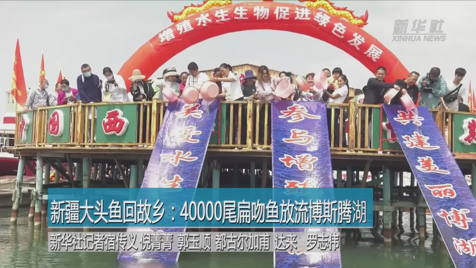 新疆大头鱼回故乡:40000尾扁吻鱼放流博斯腾湖