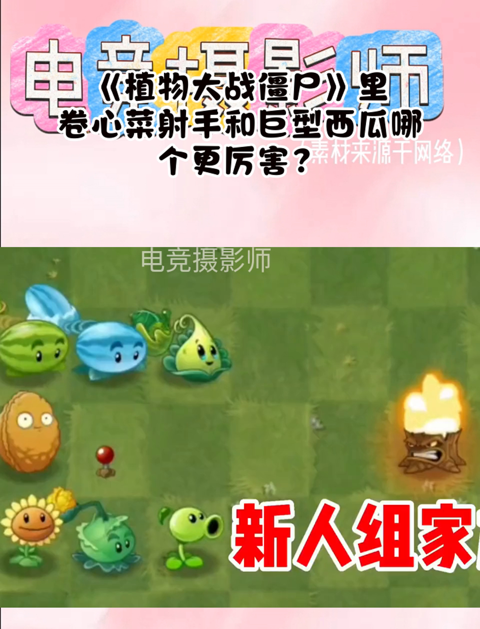 《植物大战僵尸》里,卷心菜射手和巨型西瓜哪个更厉害?