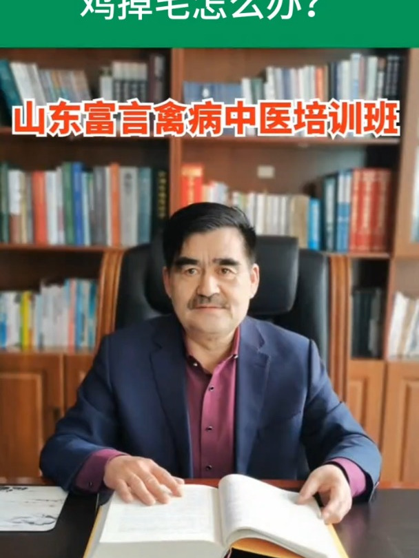 鸡掉毛怎么办?养殖技术交流禽病技术指导养殖小知识禽病防治养