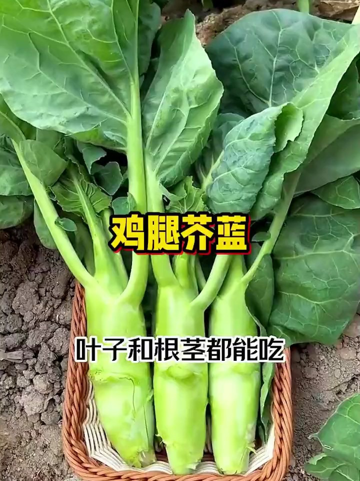 蔬菜中的“小人参”,浑身上下都是宝,根茎叶都能食用