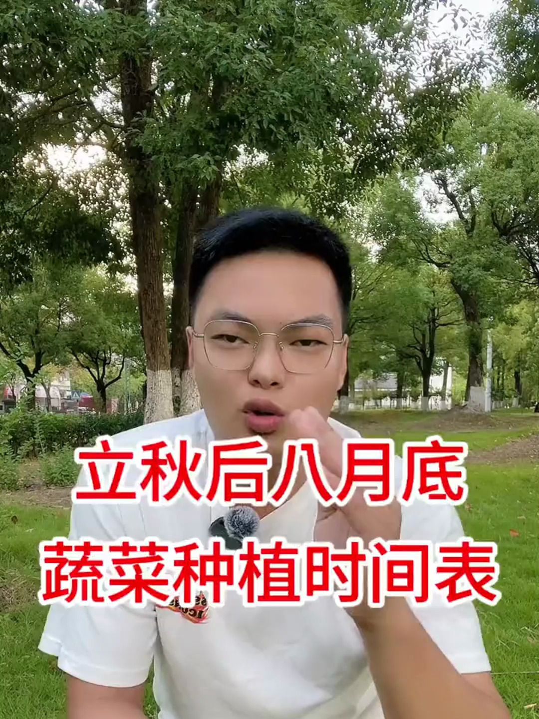 立秋后八月底,蔬菜种植时间表