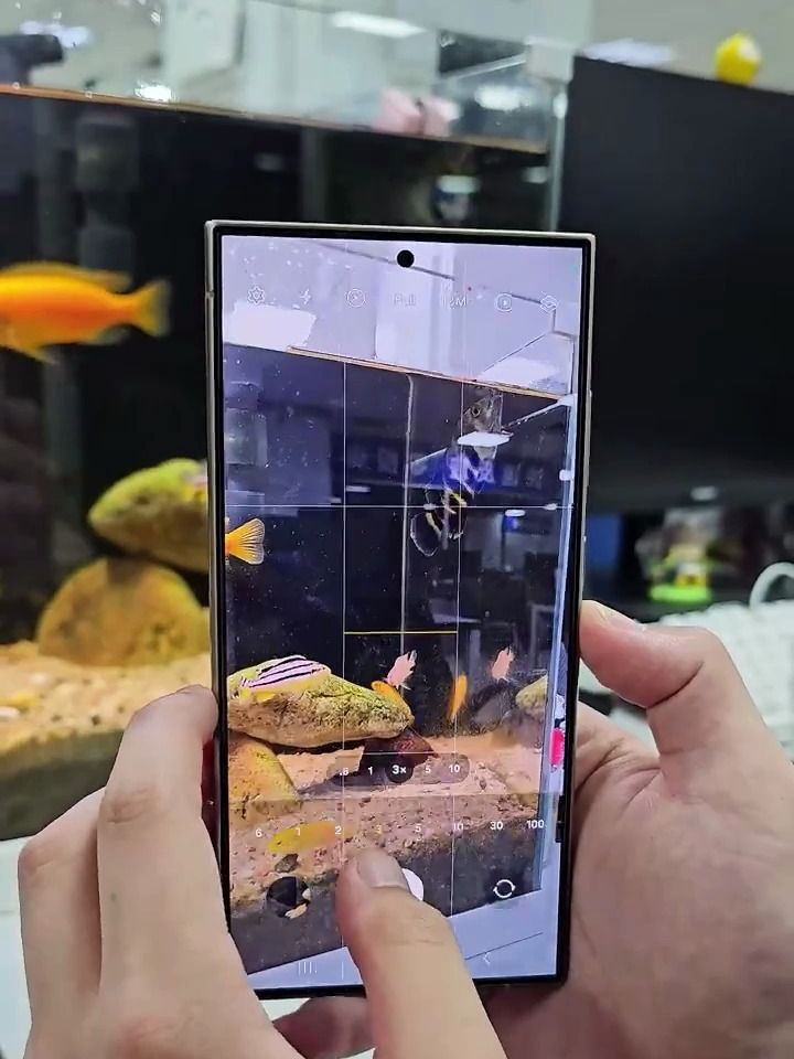 实用还是噱头?三星S24Ultra的AI鱼识别功能!