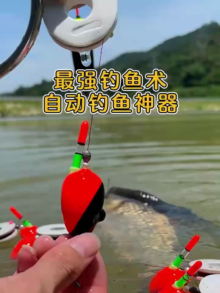 不得不佩服国人的智商,自动钓鱼神器,不用调漂放下去自动上鱼