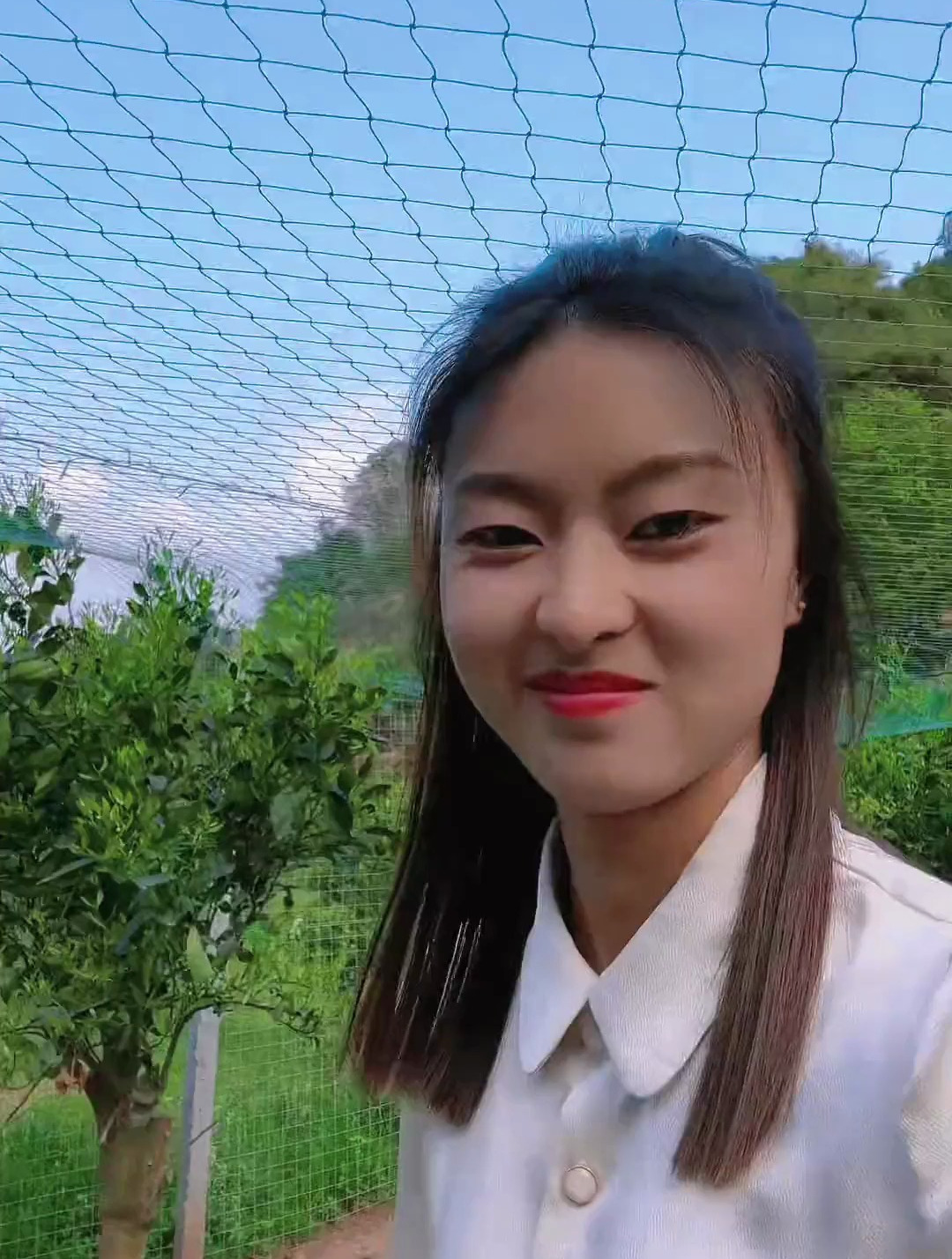 村民自家养的主吃青草和高粱的珍珠鸡,鸡蛋值得推荐!