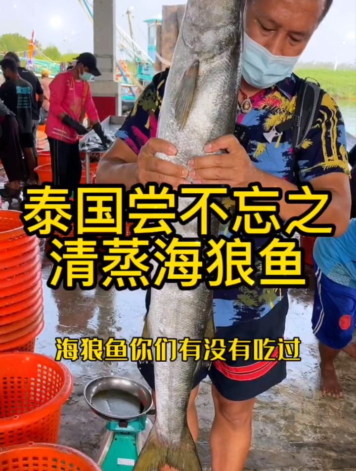 泰国尝不忘之清蒸海狼鱼,配上海鲜酱真是太美味了