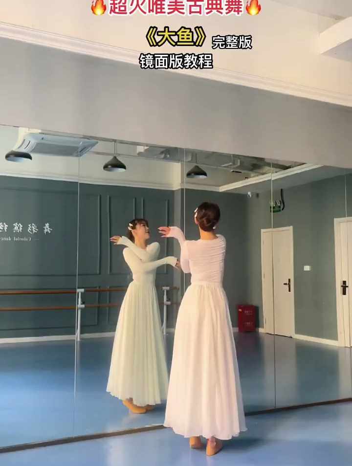 古典舞零基础学舞蹈《大鱼》完整版镜面版教程