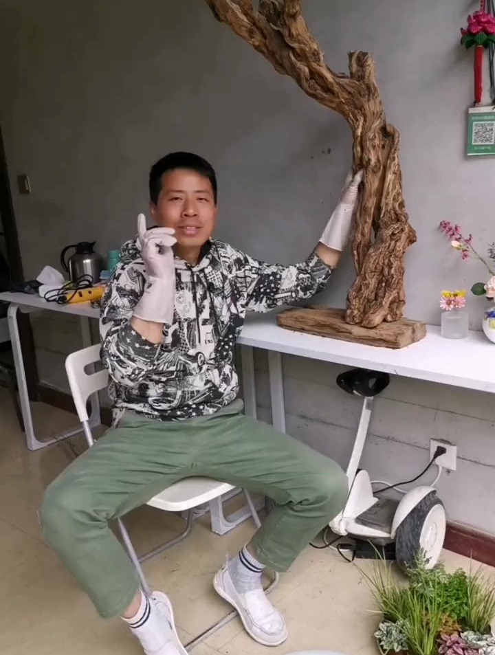 枯木逢春!家庭园艺!