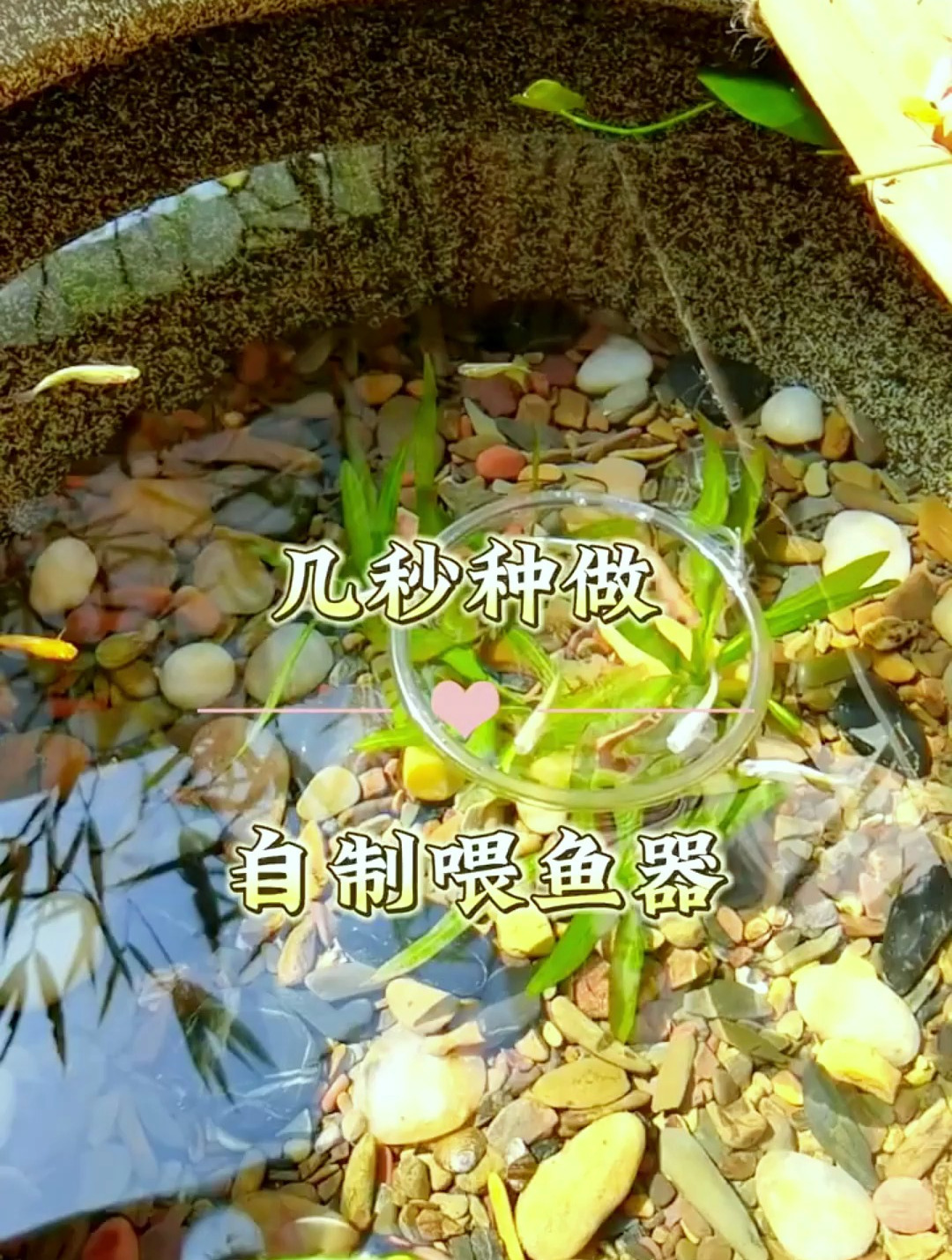 还在花钱买喂鱼器?几秒钟教会你!做不花钱的喂鱼器!