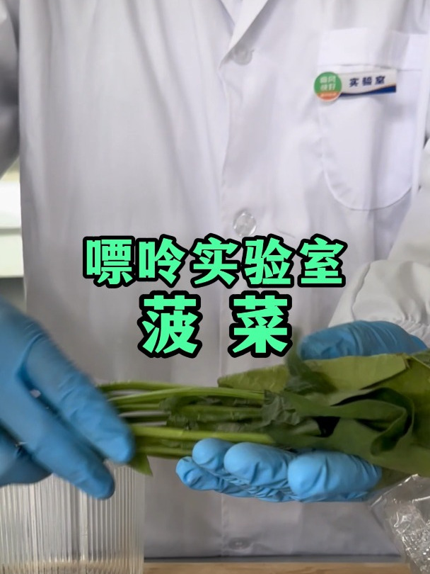 痛风能吃菠菜吗?嘌呤含量高不高呢?