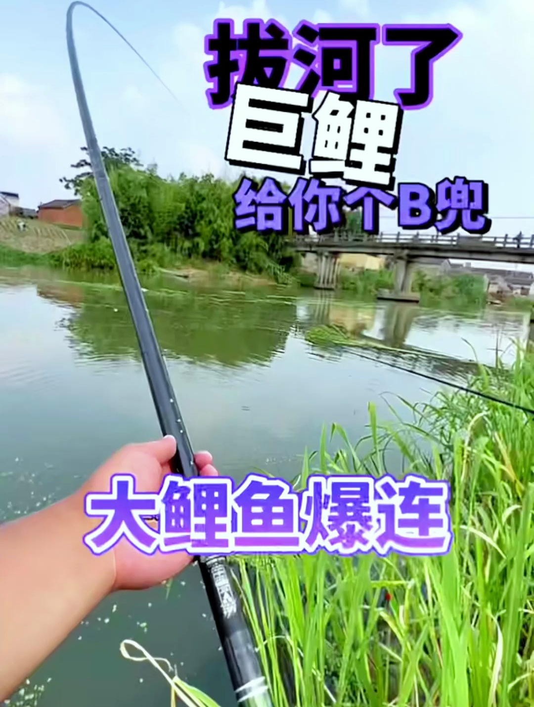 你今天空军了吗?来看看资深钓鱼佬野河大鲤鱼爆连!