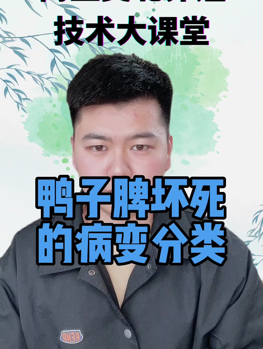 鸭子脾坏死是怎么回事?鸭子脾坏死是什么原因引起的?