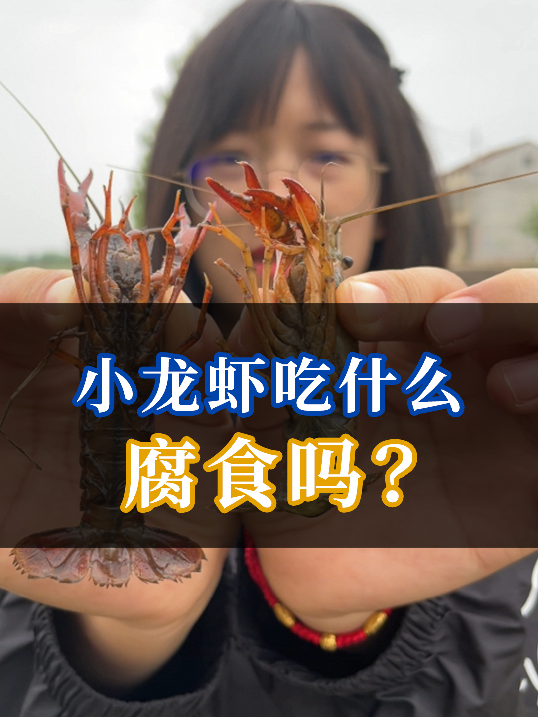 小龙虾是吃腐食长大的吗?