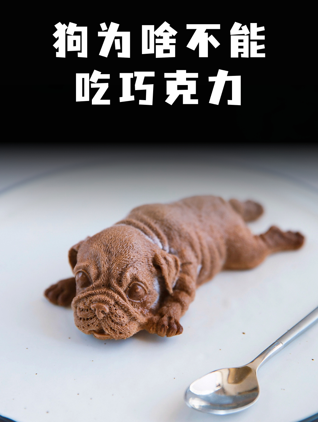 为啥狗吃巧克力会死