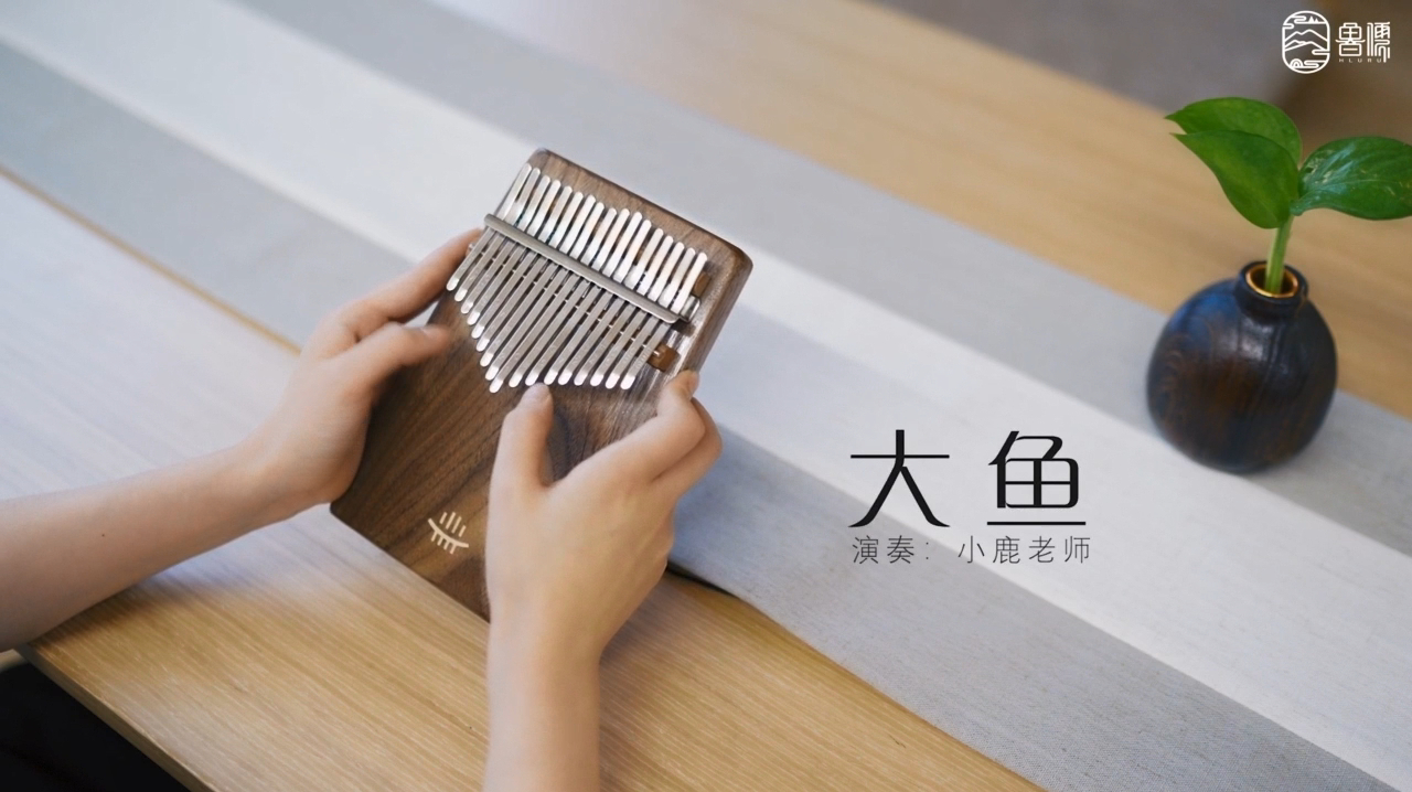 「鲁儒乐器厂」——《大鱼》十七音拇指琴演奏