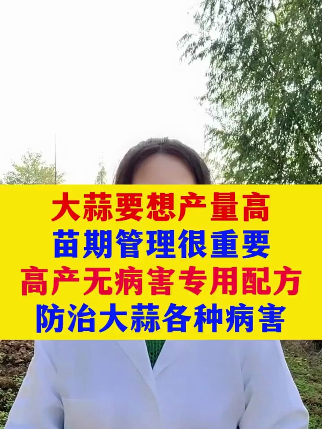 大蒜要想产量高,苗期管理很重要,高产无病害专用配方