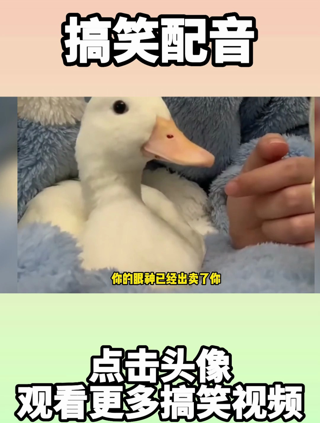 113. 我被鸭子上了一课!