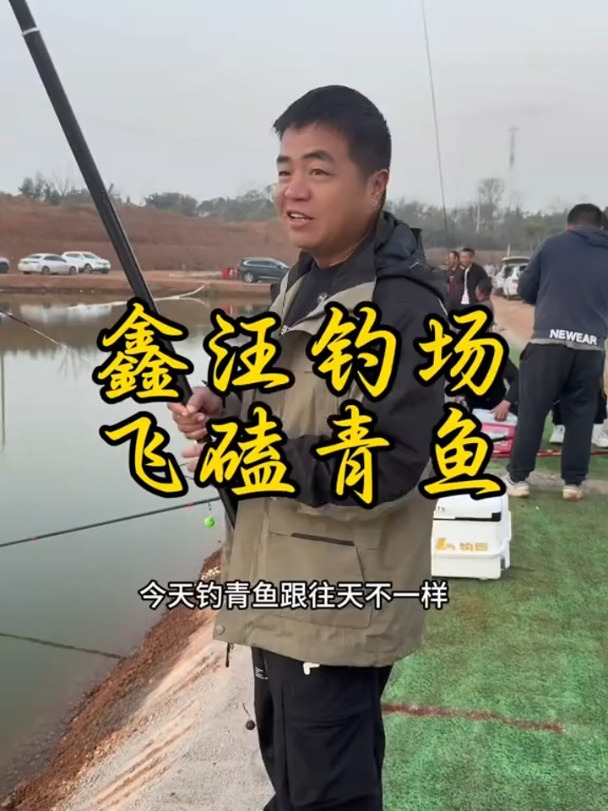 杨巨物Y系列,专为青鱼设计,钓鱼新手也能轻松上手