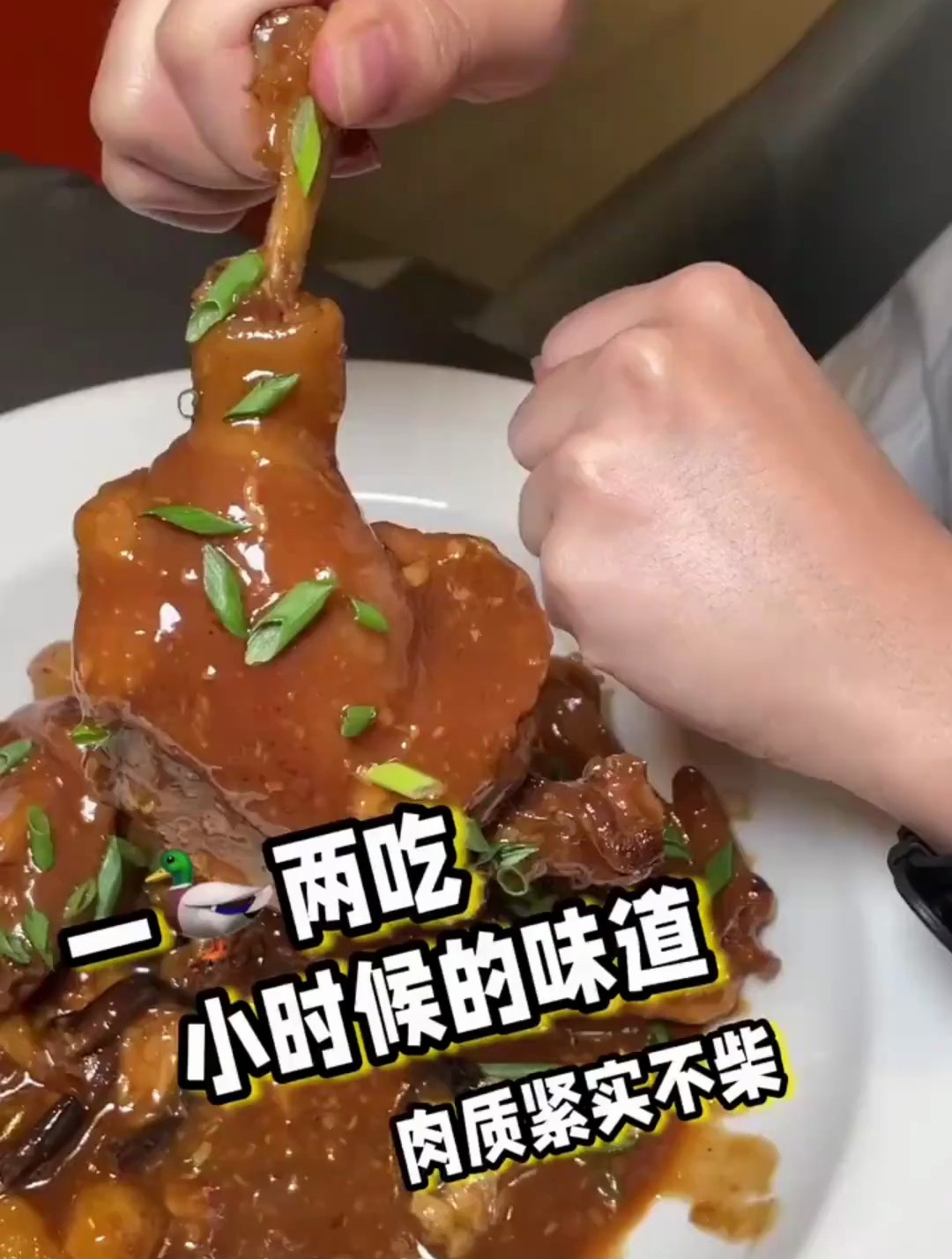 山里跑的番鸭公,古早的红烧味特别正!一条鸭腿比拳头还大