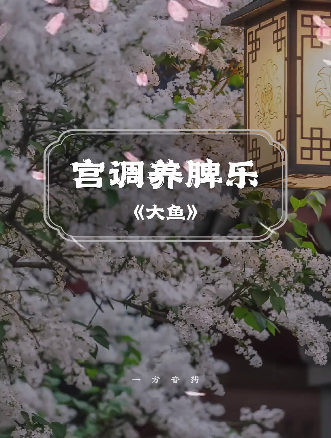 古埙演奏《大鱼》宫调为土音,是万物生化的元音动力养元气安神气