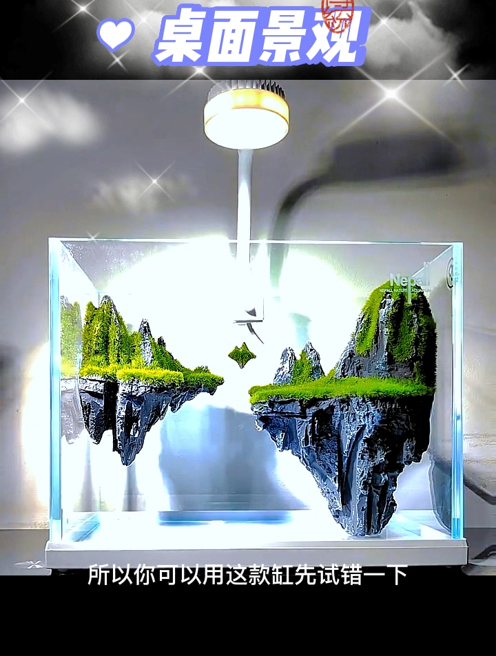 天空之城主题景观鱼缸,新手试错练手缸 养鱼日记 新手养鱼