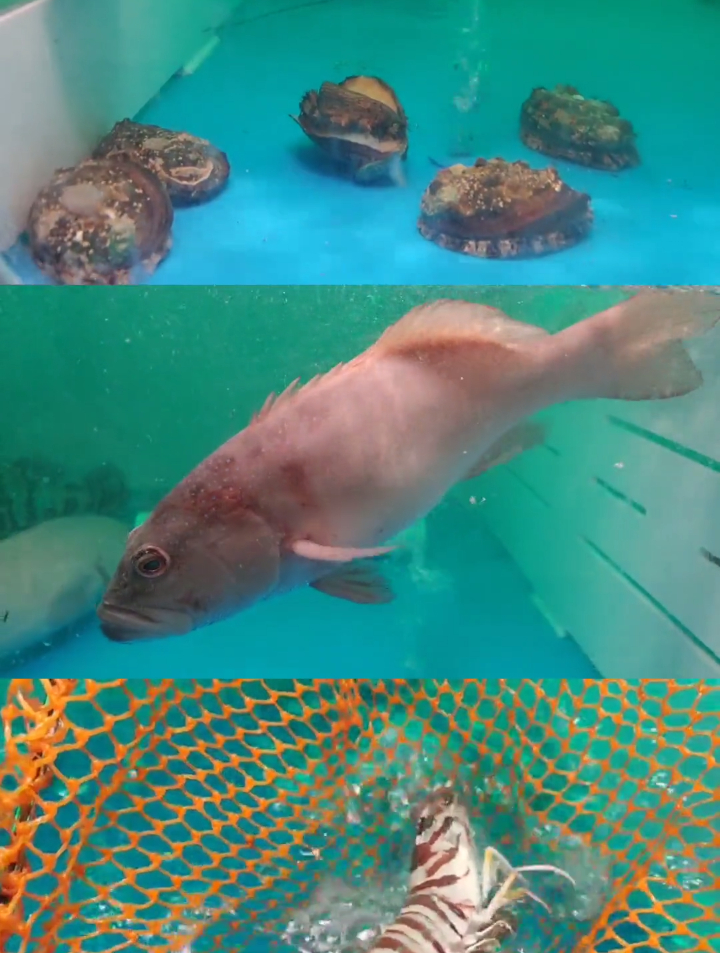 海鲜砂锅粥 蟹黄面