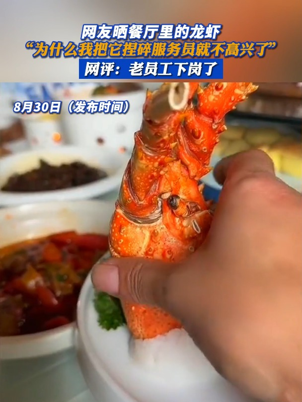网友晒餐厅里的龙虾,“为什么我把它捏碎服务员就不高兴了”