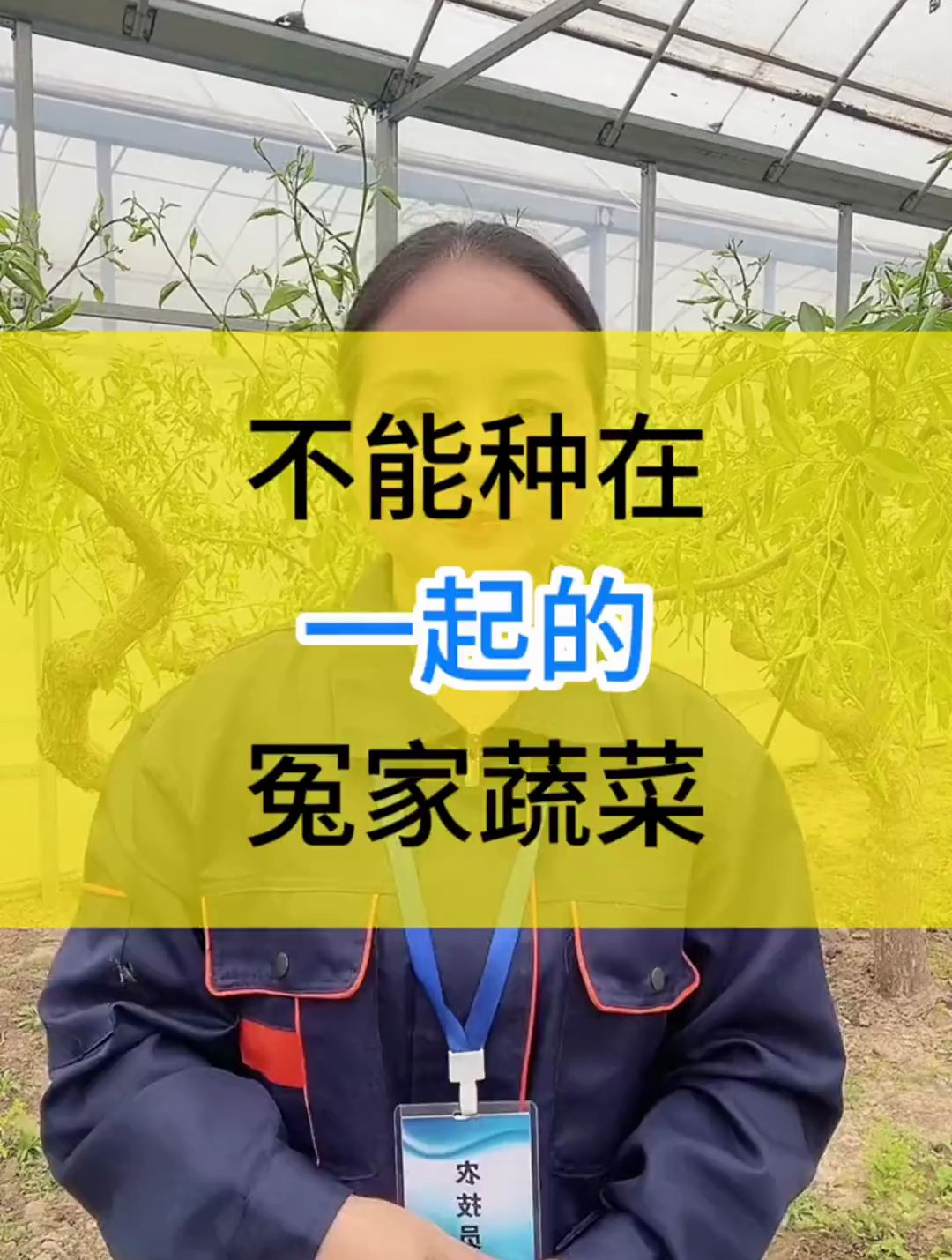不能种在一起的蔬菜有哪些?