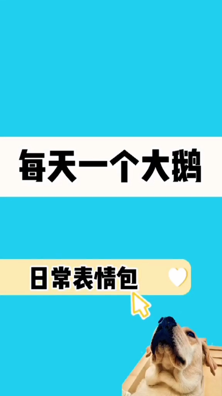 每天一个大鹅日常表情包