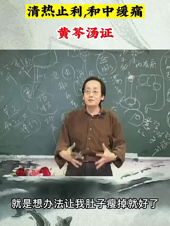 黄芩汤:清热止利,和中缓痛 中医 中医传承 倪海厦 黄芩汤