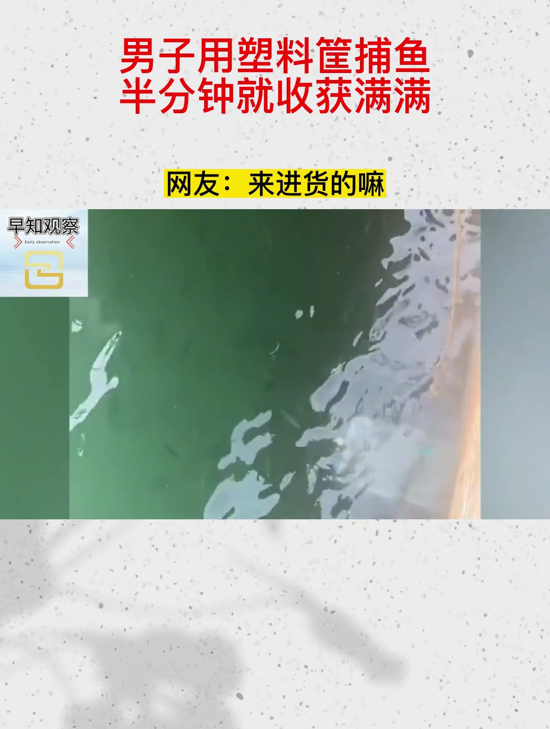 男子用塑料筐捕鱼,半分钟就收获满满