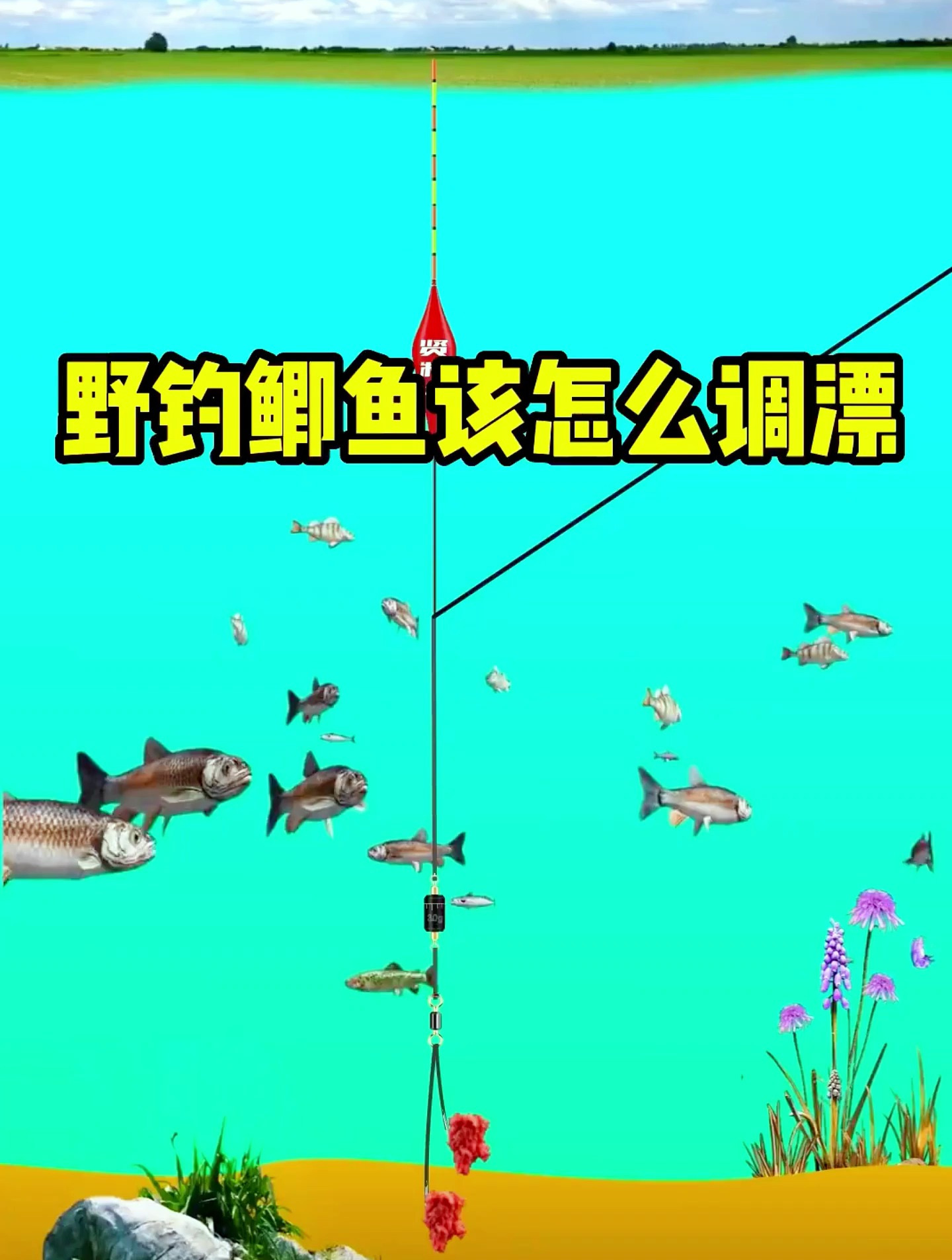 野钓鲫鱼该怎么调漂?