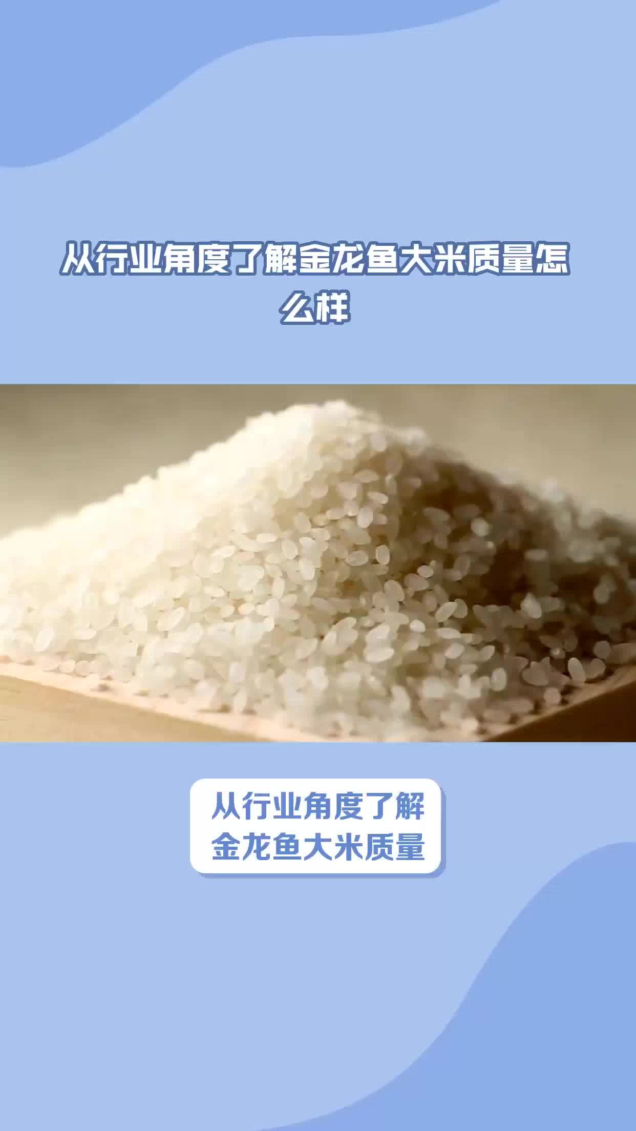 从行业角度了解金龙鱼大米质量怎么样