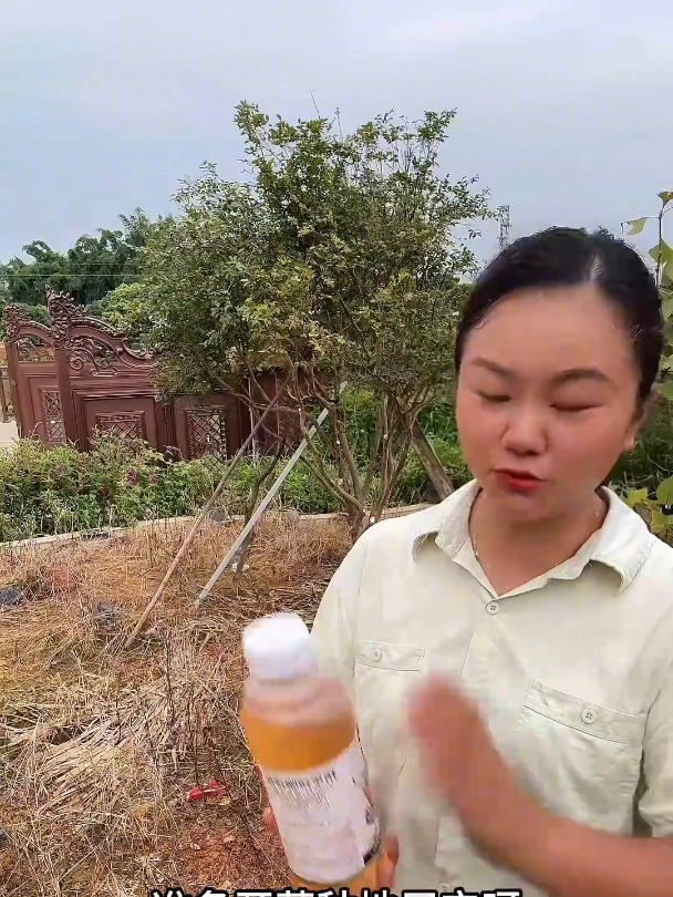 除草不伤土壤,没有残留的除草剂,烂叶,又烂根