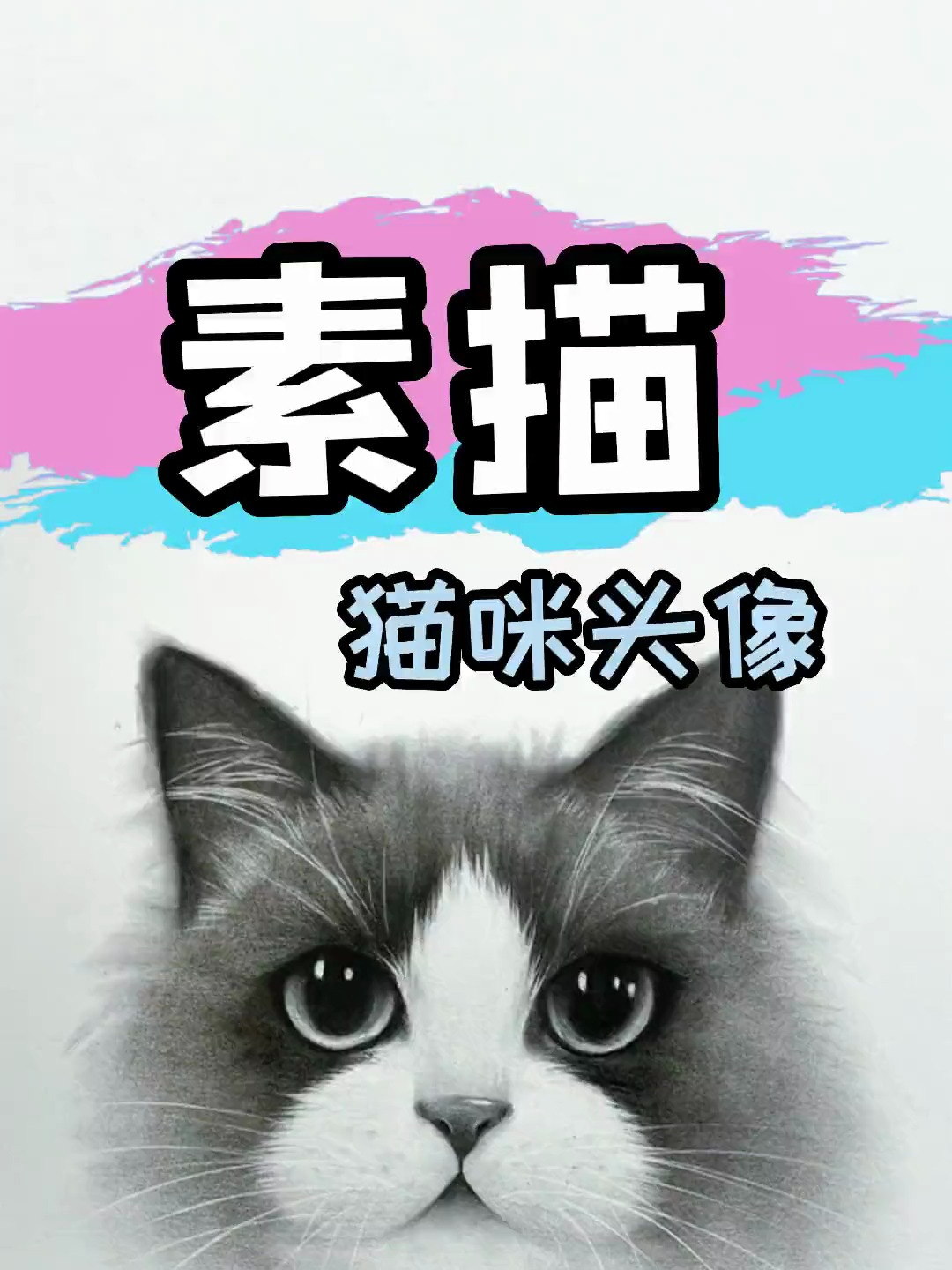 素描猫猫头像该怎么去画呢?