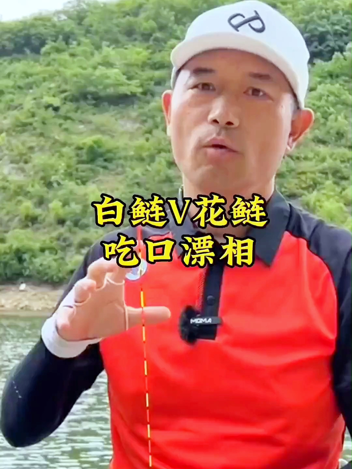 邓大师授课:关于白鲢和花鲢吃口漂相区分的详细讲解