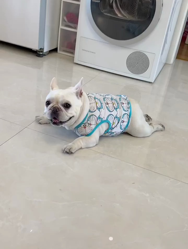 又到了天天板鸭趴的季节了