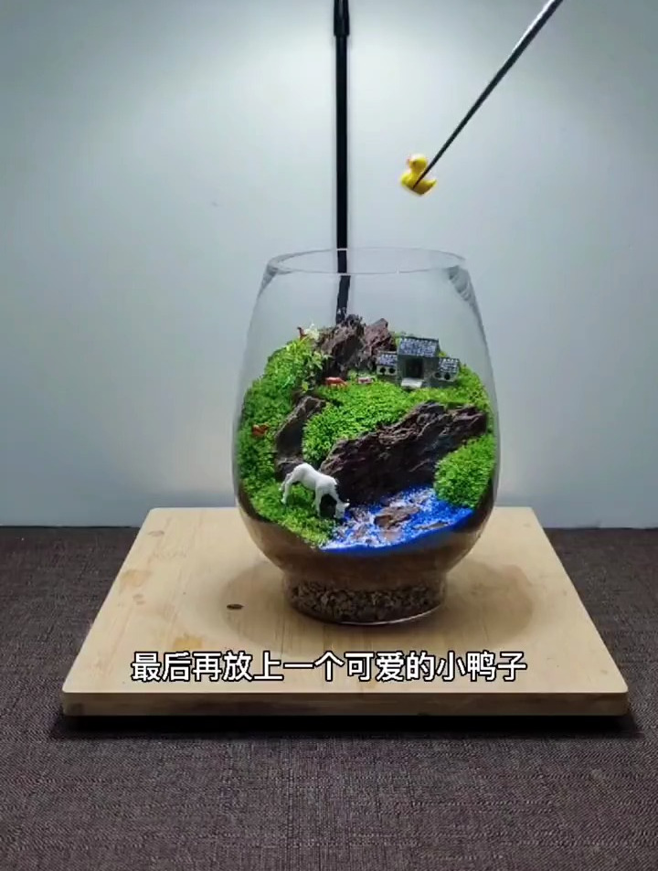 家里闲置小金鱼缸拿出来吧 小微盆景 苔藓 盆景制作