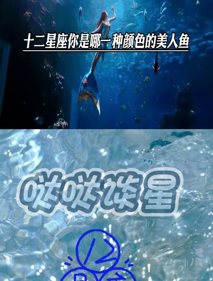 你是哪种颜色的美人鱼?