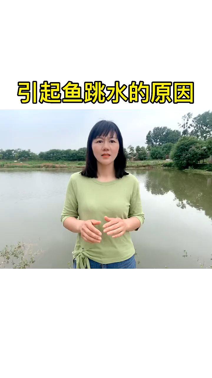 引起鱼跳水的原因 四大家鱼养殖 水产养殖技术服务-