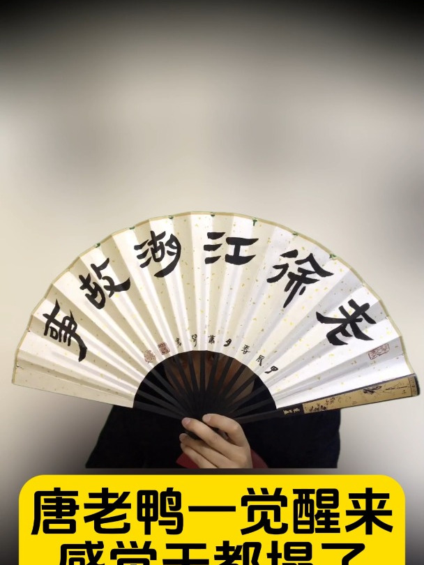 唐老鸭一觉醒来感觉天都塌了