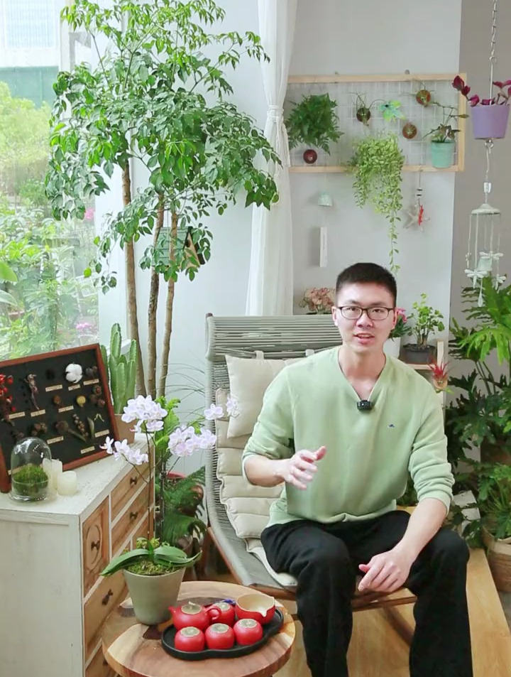 养花人,如何拥有一个干净整洁的阳台小花园?