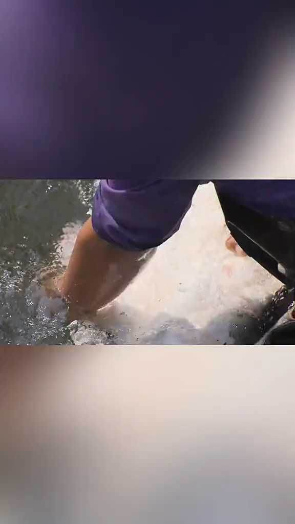 什么样的鱼籽适合做成鱼籽酱？