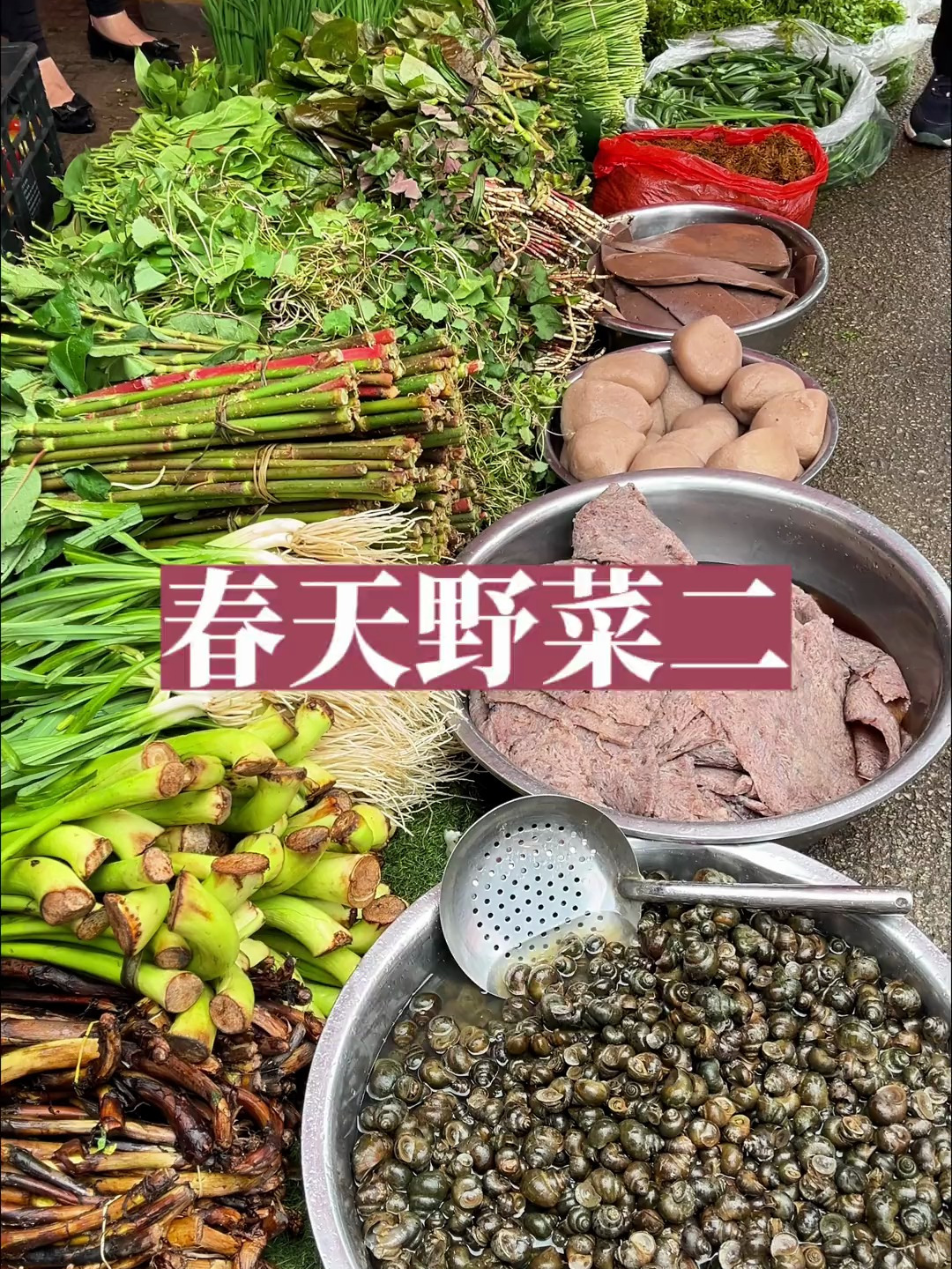又到了吃野菜的季节了!春天不能错过的野菜,你认识几种呢?