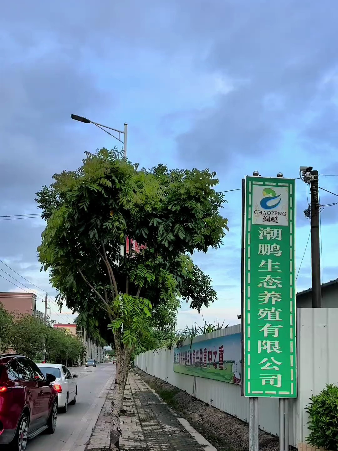 到澄海参观潮鹏狮头场再吃全鹅宴